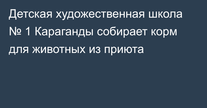 Детская художественная школа № 1 Караганды собирает корм для животных из приюта