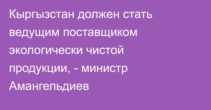 Кыргызстан должен стать ведущим поставщиком экологически чистой продукции, - министр Амангельдиев