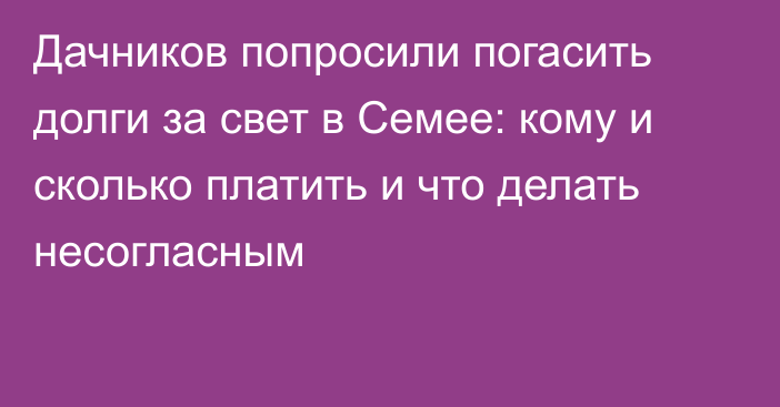 Дачников попросили погасить долги за свет в Семее: кому и сколько платить и что делать несогласным