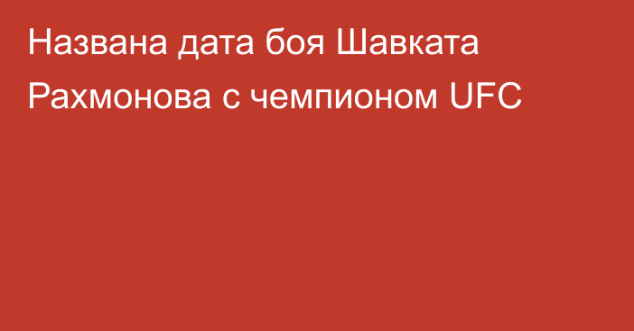 Названа дата боя Шавката Рахмонова с чемпионом UFC