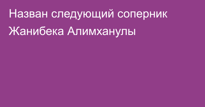 Назван следующий соперник Жанибека Алимханулы