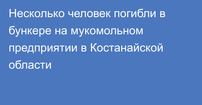 Несколько человек погибли в бункере на мукомольном предприятии в Костанайской области