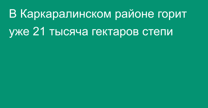 В Каркаралинском районе горит уже 21 тысяча гектаров степи