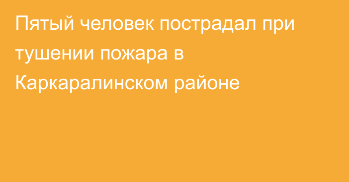 Пятый человек пострадал при тушении пожара в Каркаралинском районе