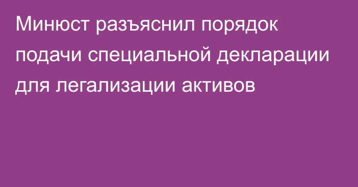 Минюст разъяснил порядок подачи специальной декларации для легализации активов