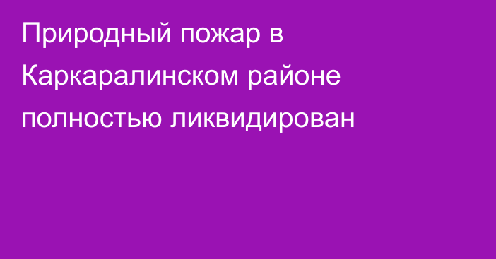 Природный пожар в Каркаралинском районе полностью ликвидирован