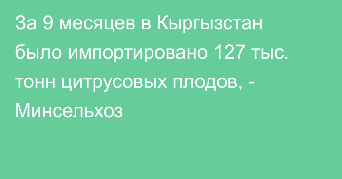 За 9 месяцев в Кыргызстан было импортировано 127 тыс. тонн цитрусовых плодов, - Минсельхоз