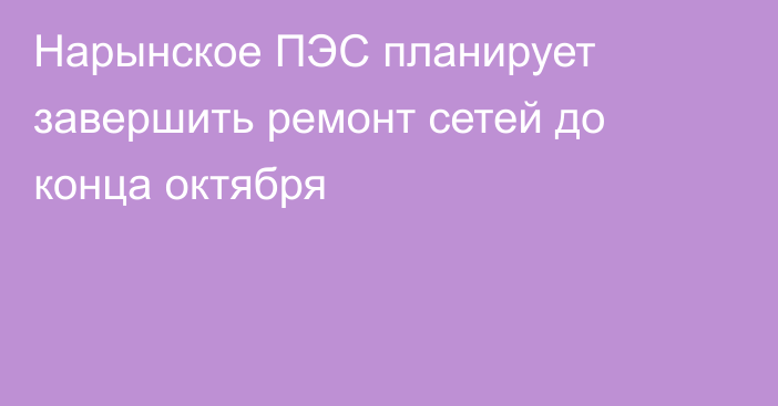 Нарынское ПЭС планирует завершить ремонт сетей до конца октября