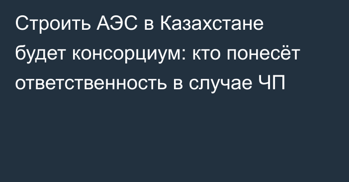 Строить АЭС в Казахстане будет консорциум: кто понесёт ответственность в случае ЧП