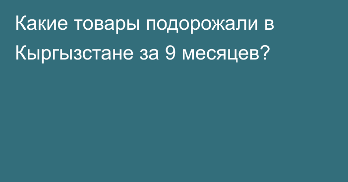 Какие товары подорожали в Кыргызстане за 9 месяцев?