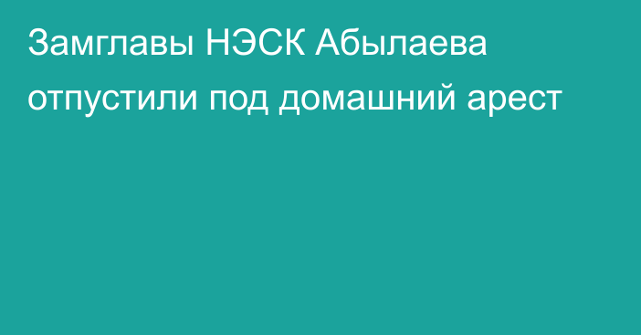 Замглавы НЭСК Абылаева отпустили под домашний арест