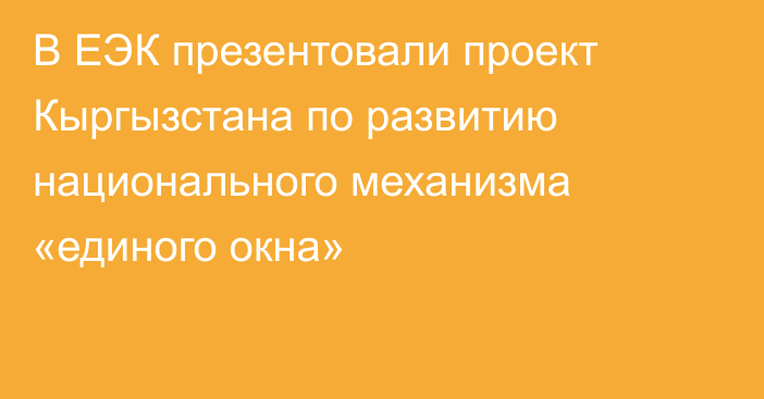 В ЕЭК презентовали проект Кыргызстана по развитию национального механизма «единого окна»