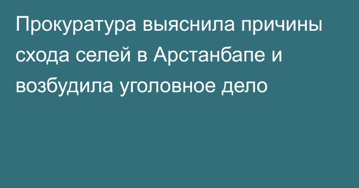 Прокуратура выяснила причины схода селей в Арстанбапе и возбудила уголовное дело