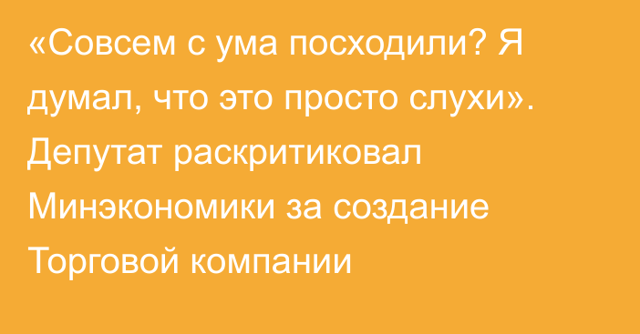 «Совсем с ума посходили? Я думал, что это просто слухи». Депутат раскритиковал Минэкономики за создание Торговой компании