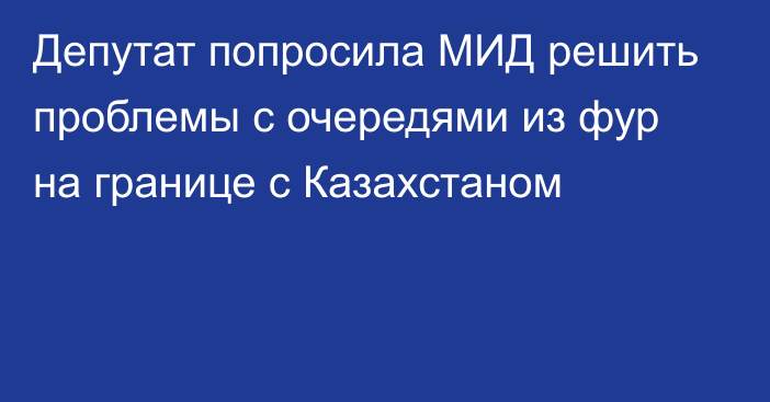 Депутат попросила МИД решить проблемы с очередями из фур на границе с Казахстаном