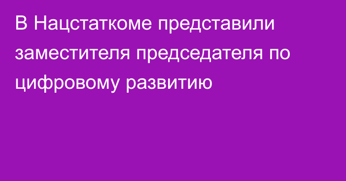 В Нацстаткоме представили заместителя председателя по цифровому развитию