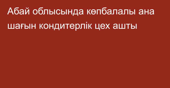 Абай облысында көпбалалы ана шағын кондитерлік цех ашты