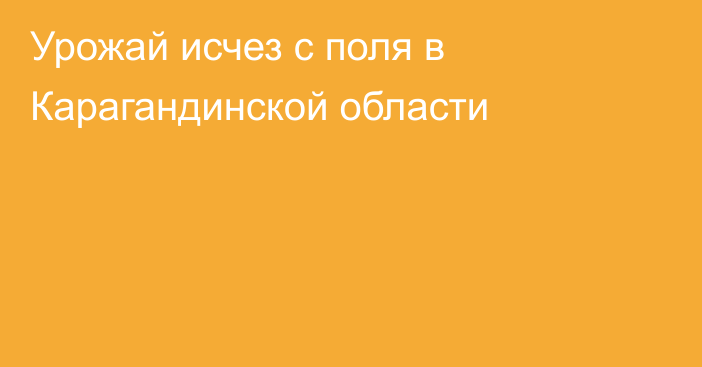 Урожай исчез с поля в Карагандинской области