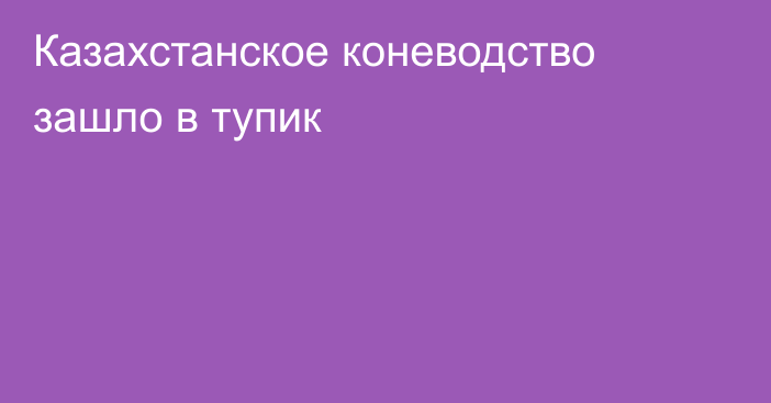 Казахстанское коневодство зашло в тупик