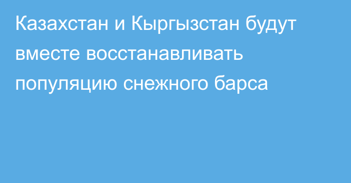 Казахстан и Кыргызстан будут вместе восстанавливать популяцию снежного барса