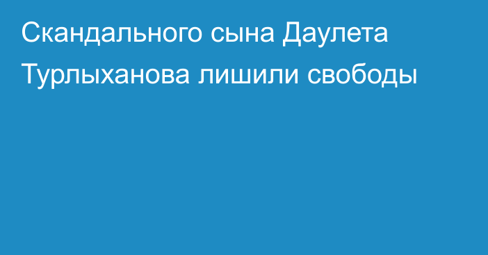 Скандального сына Даулета Турлыханова лишили свободы