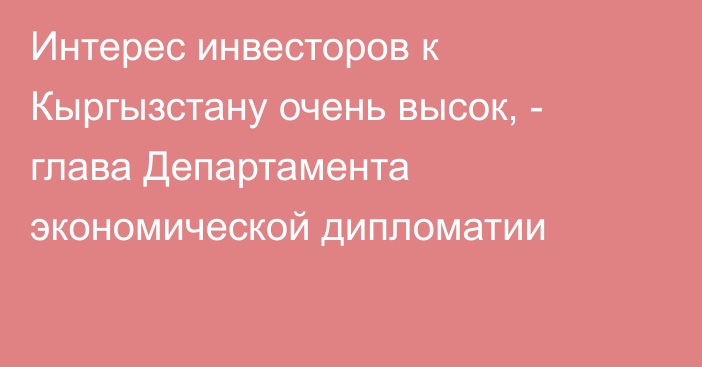 Интерес инвесторов к Кыргызстану очень высок, - глава Департамента экономической дипломатии