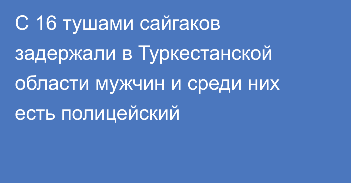 С 16 тушами сайгаков задержали в Туркестанской области мужчин и среди них есть полицейский