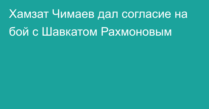 Хамзат Чимаев дал согласие на бой с Шавкатом Рахмоновым