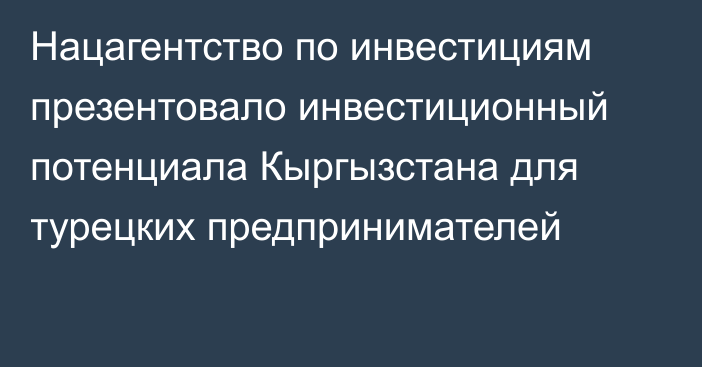 Нацагентство по инвестициям презентовало инвестиционный потенциала Кыргызстана для турецких предпринимателей