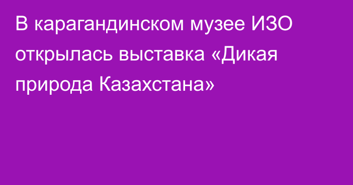 В карагандинском музее ИЗО открылась выставка «Дикая природа Казахстана»