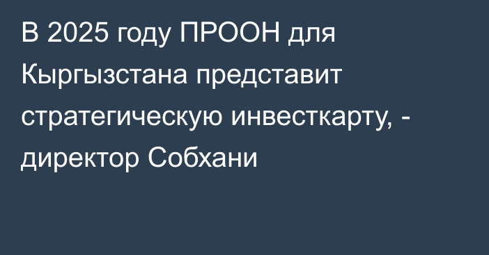 В 2025 году ПРООН для Кыргызстана представит стратегическую инвесткарту, - директор Собхани