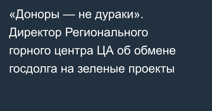 «Доноры — не дураки». Директор Регионального горного центра ЦА об обмене госдолга на зеленые проекты