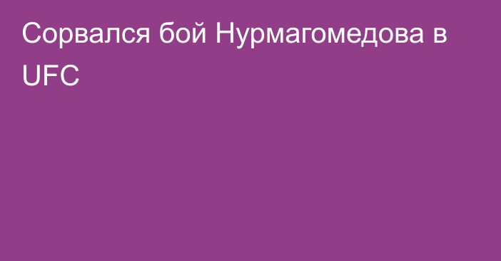 Сорвался бой Нурмагомедова в UFC