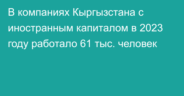 В компаниях Кыргызстана с иностранным капиталом в 2023 году работало 61 тыс. человек