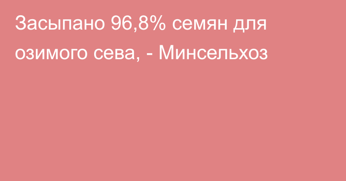 Засыпано 96,8% семян для озимого сева, - Минсельхоз