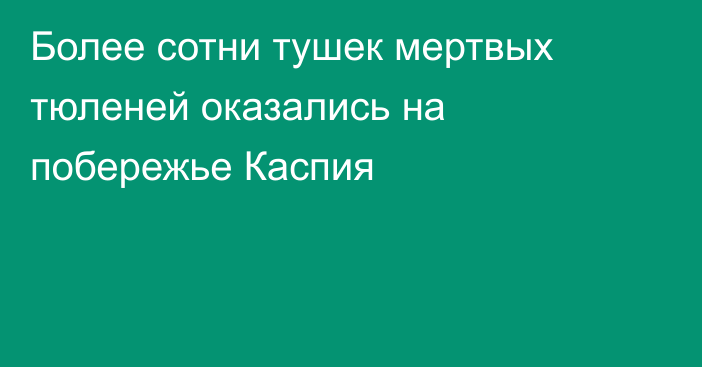 Более сотни тушек мертвых тюленей оказались на побережье Каспия