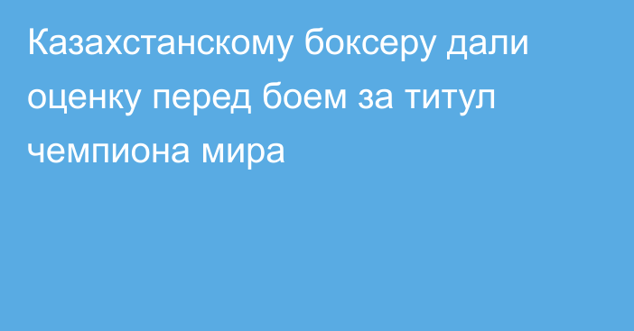 Казахстанскому боксеру дали оценку перед боем за титул чемпиона мира