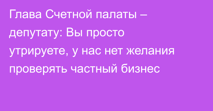 Глава Счетной палаты – депутату: Вы просто утрируете, у нас нет желания проверять частный бизнес