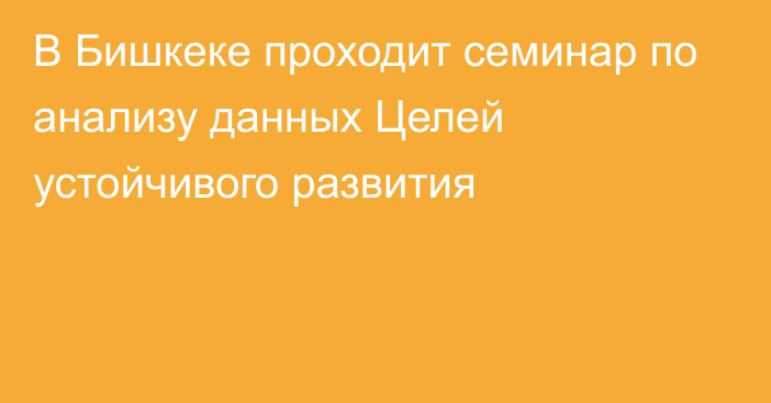 В Бишкеке проходит семинар по анализу данных Целей устойчивого развития