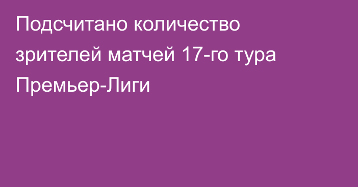 Подсчитано количество зрителей матчей 17-го тура Премьер-Лиги