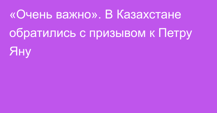 «Очень важно». В Казахстане обратились с призывом к Петру Яну