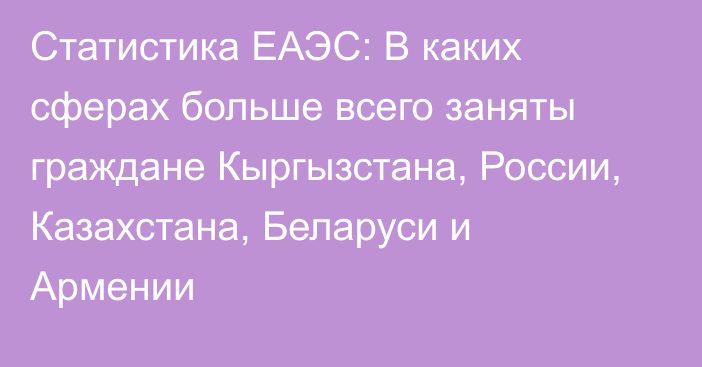 Статистика ЕАЭС: В каких сферах больше всего заняты граждане Кыргызстана, России,  Казахстана, Беларуси и Армении