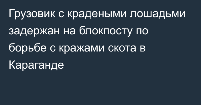 Грузовик с крадеными лошадьми задержан на блокпосту по борьбе с кражами скота в Караганде