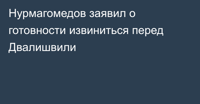 Нурмагомедов заявил о готовности извиниться перед Двалишвили