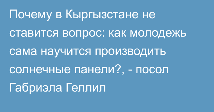 Почему в Кыргызстане не ставится вопрос: как молодежь сама научится производить солнечные панели?, - посол Габриэла Геллил