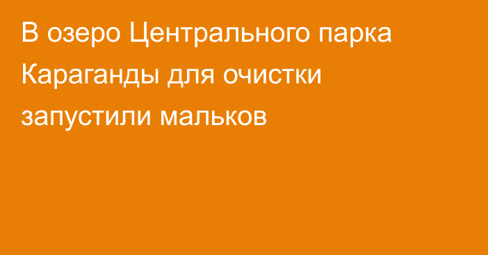 В озеро Центрального парка Караганды для очистки запустили мальков