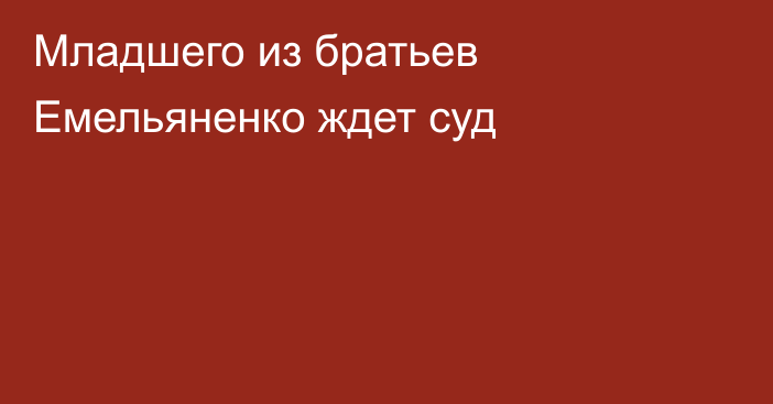 Младшего из братьев Емельяненко ждет суд