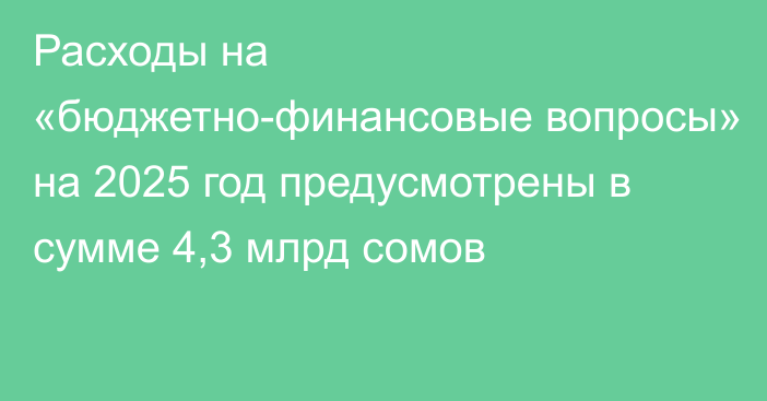 Расходы на «бюджетно-финансовые вопросы» на 2025 год предусмотрены в сумме 4,3 млрд сомов