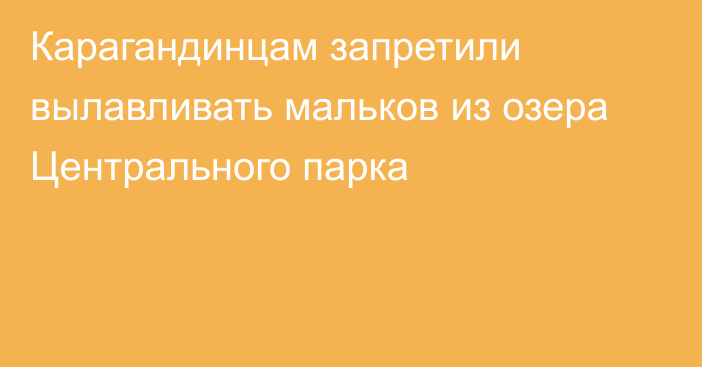 Карагандинцам запретили вылавливать мальков из озера Центрального парка