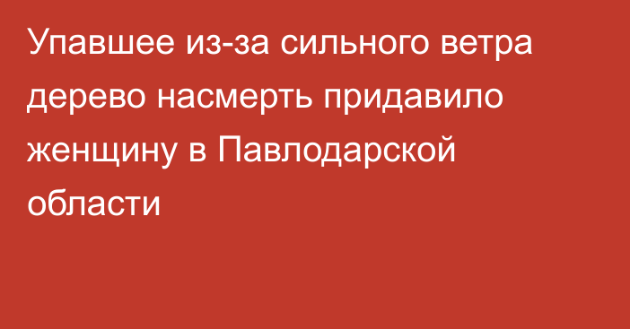 Упавшее из-за сильного ветра дерево насмерть придавило женщину в Павлодарской области